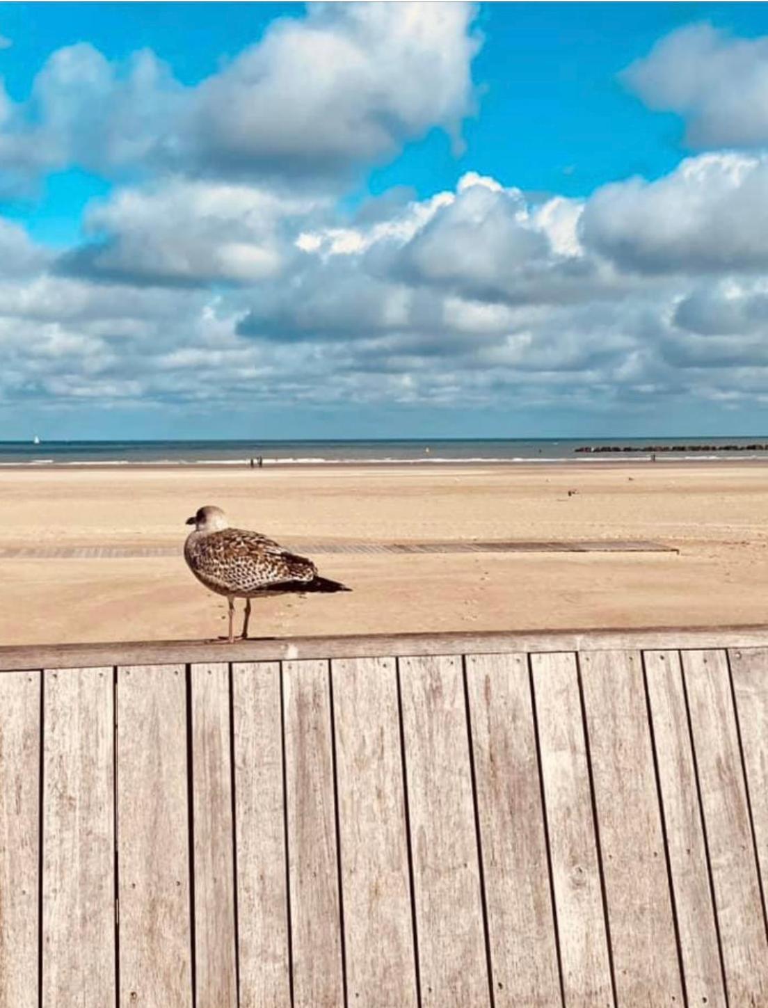 Appartement Sur La Plage De Malo Les Bains Vue Mer Dunkirk Exterior photo
